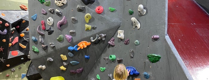 The Circuit Bouldering Gym is one of Benさんのお気に入りスポット.