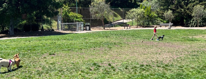 St. Mary's Park Dog Run is one of Lugares favoritos de Gwn.