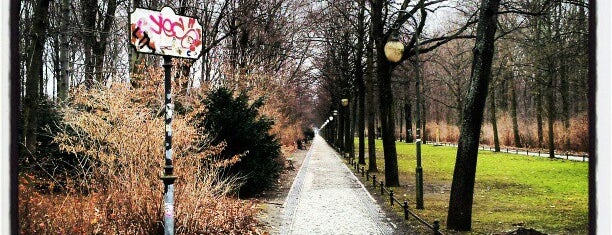Großer Tiergarten is one of Why I love Berlin.