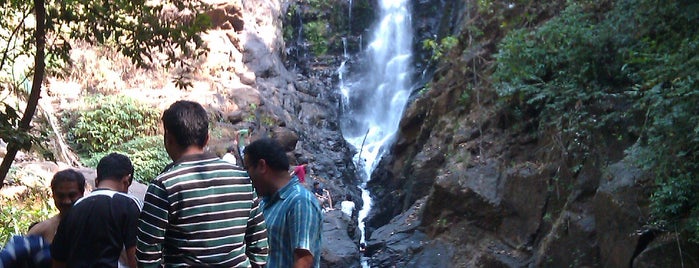 Netravali Wildlife Sanctuary is one of Goa's places.