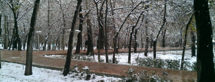 Qeytariyeh Park | پارک قیطریه is one of Gespeicherte Orte von Sotoude.