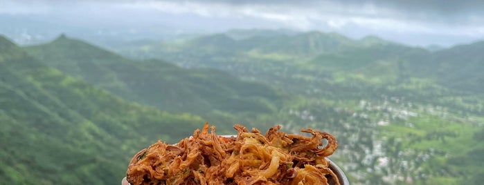 Sinhagad Fort is one of Trek Places Around Pune.