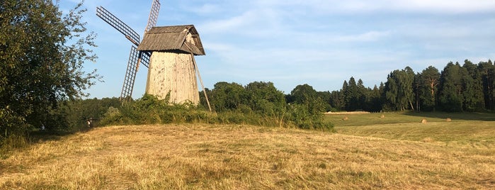 Ветряная мельница is one of สถานที่ที่ Fedor ถูกใจ.