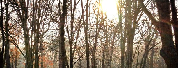 Булонский лес is one of Oh lá lá Paris.