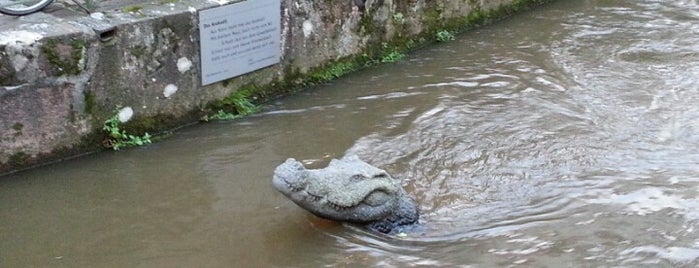 Am Krokodil is one of My Freiburg.