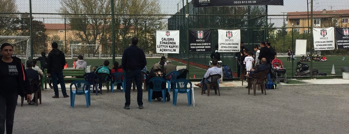 Beşiktaş J.K. Çukurambar Futbol Okulu is one of สถานที่ที่ Erkan ถูกใจ.