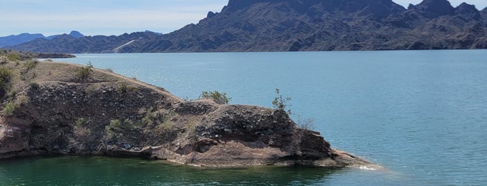 Cattail Cove State Park is one of Lake Havasu City.