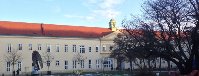 Hof 2 - Campus der Universität Wien is one of Wien Erasmus Time 😘♥️.