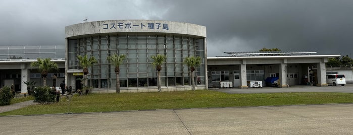 Tanegashima Airport (TNE) is one of Japen Airport.