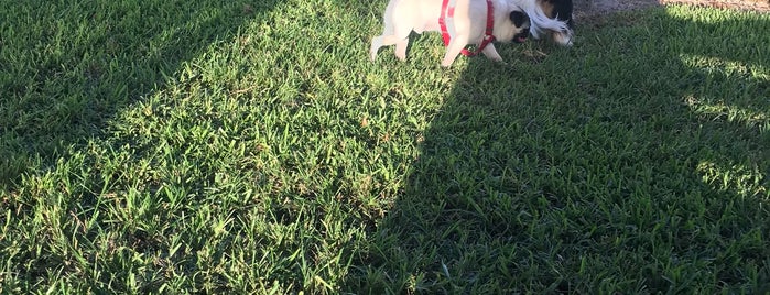 Lake Ida Dog Park is one of ‘round home.