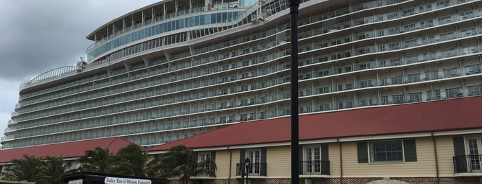 Oasis Of The Seas is one of Cruise Places.