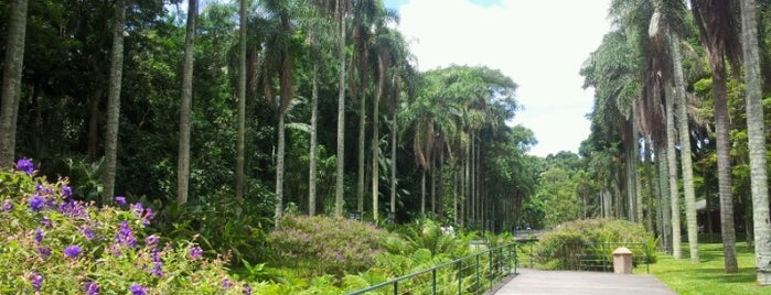 Jardim Botânico de São Paulo is one of Brasil, VOL I.