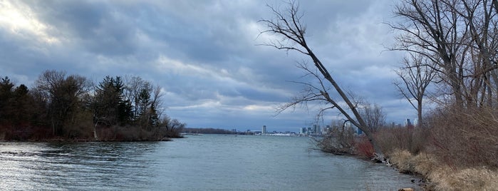 Algonquin Island is one of siva 님이 좋아한 장소.