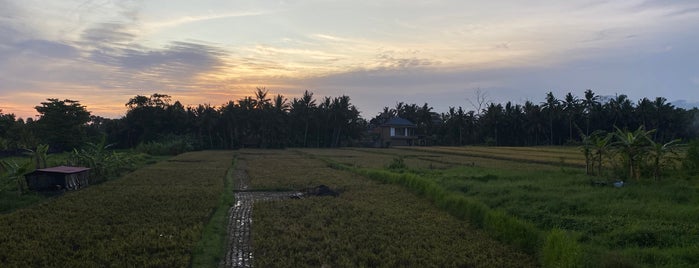 Kajeng Rice Fields Walk is one of Tempat yang Disukai Daniel.