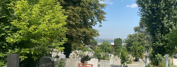 Cimitirul Central Cluj-Napoca is one of Places to chill out.