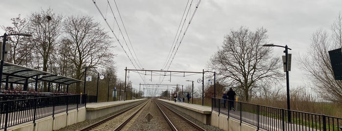Station Ravenstein is one of NS stations Noord-Brabant.