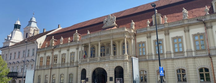 Palatul Bánffy is one of Cluj.