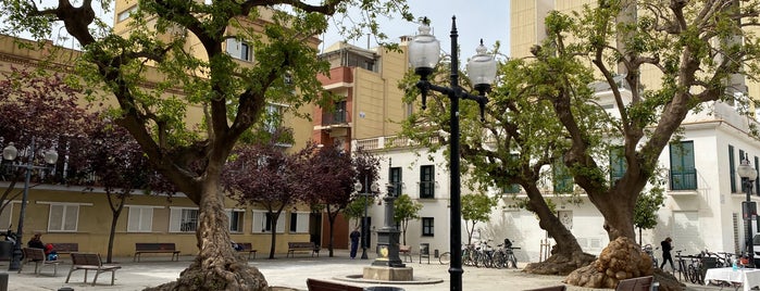 Plaça de Prim is one of Llocs.