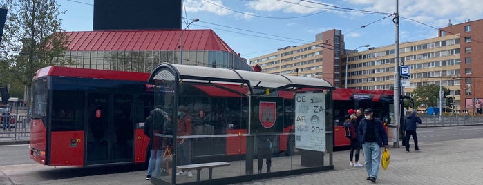 Trnavské mýto (tram, bus, trolleybus) is one of Bratislava MHD Trolejbus 209.