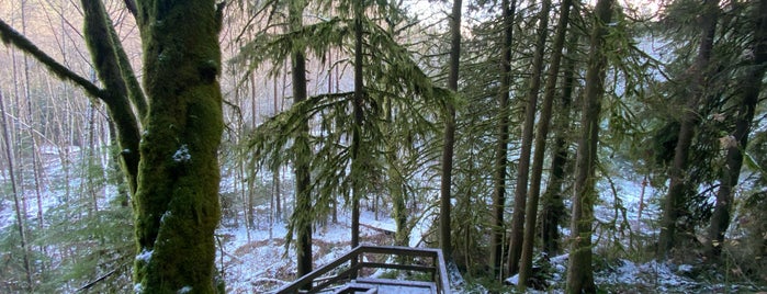 Lynn Valley Park is one of Canadá 🍁.
