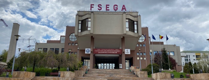 Facultatea de Științe Economice și Gestiunea Afacerilor is one of Facultăți din România.