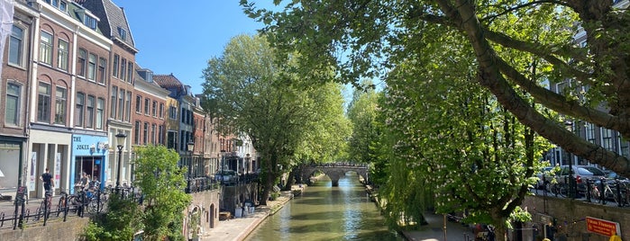 Werf Oudegracht is one of Utrecht.