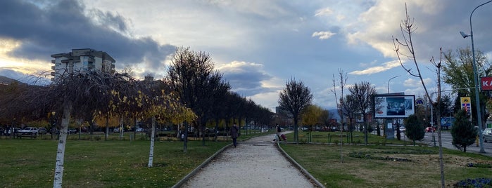 Парк Македонија is one of Tempat yang Disukai Carl.