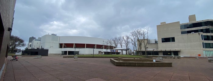 Jackson Square is one of Greater Toronto Area Malls.