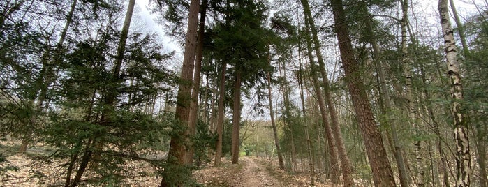 Mookerheide is one of Weekje Heijderbos.