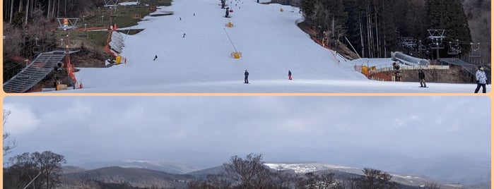 Meiho Ski Area is one of スキーヤーが楽しめるスキー場.