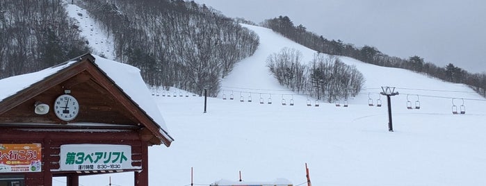 恩原高原スキー場 is one of 中国地方のスキー場.
