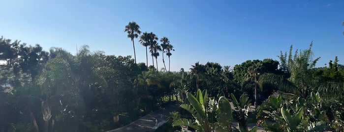 Hotel La Jolla, Curio Collection By Hilton is one of best San Diego views.