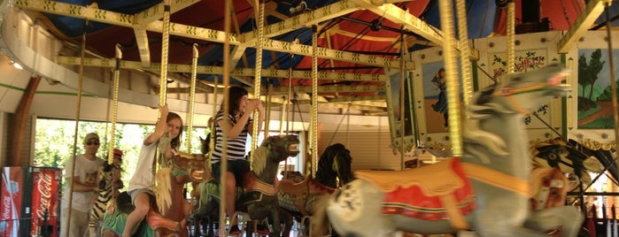 Wheaton Regional Park Carousel is one of Posti che sono piaciuti a Larry.