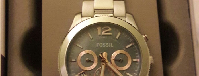 Fossil is one of Hannover.