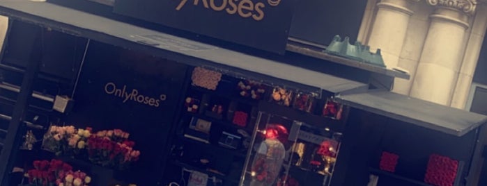 Only Roses is one of Queen 님이 좋아한 장소.