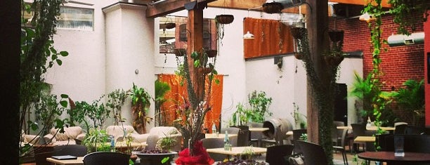 Copia Restaurant & Wine Garden is one of Tempat yang Disimpan Lauren.