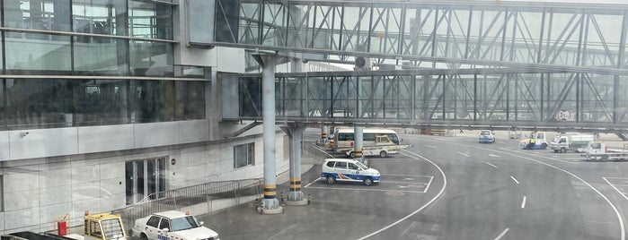 창춘 룽자 국제공항 (CGQ) is one of Airports.