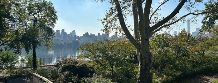 Gothic Bridge is one of Central Park.