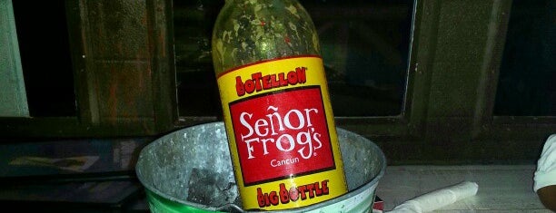 Señor Frog's is one of Lieux qui ont plu à Ernesto.