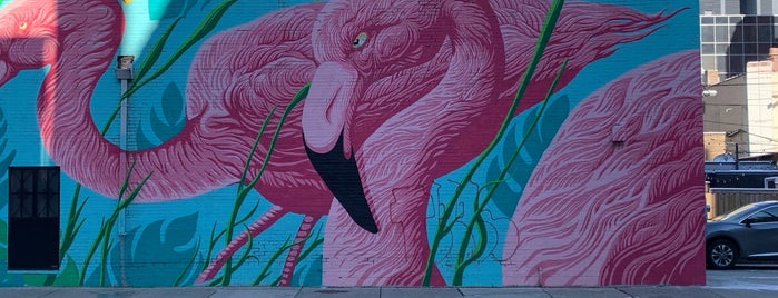 The Flamingo Rum Club is one of Chicago bars.