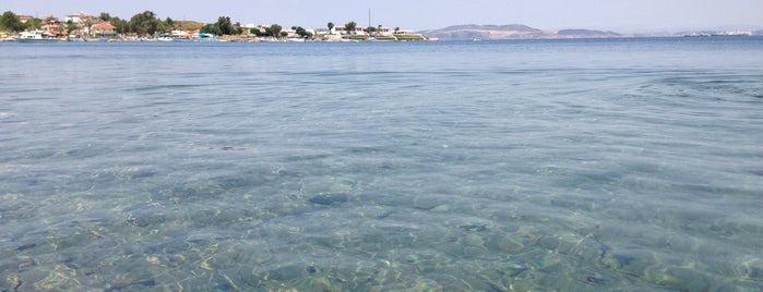Yenifoça Sahili is one of Plajlar.