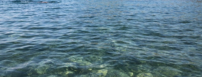 Portofino Beach is one of Lieux qui ont plu à Dr.Gökhan.