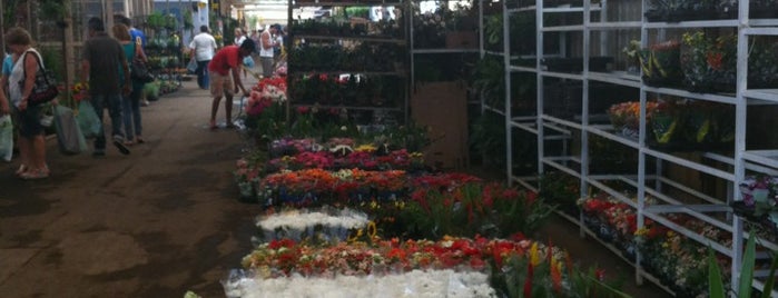 Mercado de Flores is one of Lieux qui ont plu à Fábio.