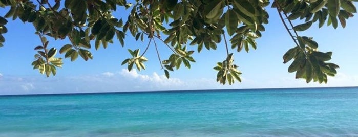 Worthing Beach is one of Barbados south coast beaches.