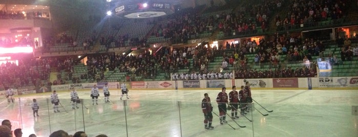 Red Deer Rebels is one of Lieux qui ont plu à Eric.
