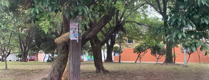 Parque Isla Raza y Cruz del Sur is one of Alejandraさんの保存済みスポット.