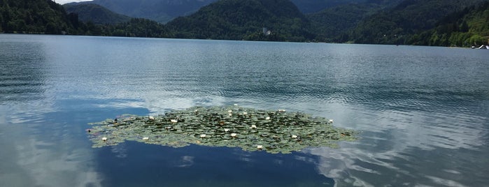 Blejsko Jezero / Lake Bled is one of Posti che sono piaciuti a Olcay.