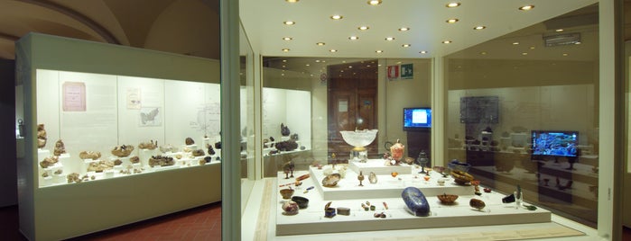 Museo di Storia Naturale, Sezione di Geologia e Paleontologia is one of Florence.