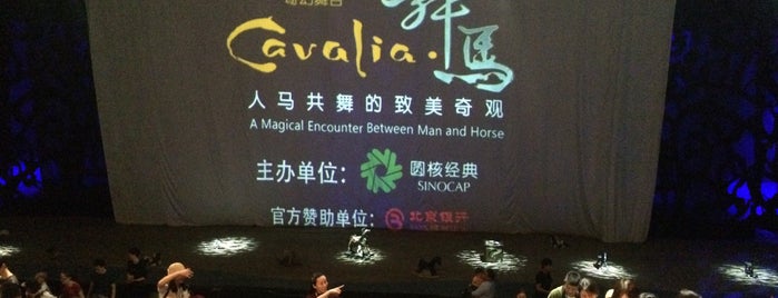 Cavalia 舞马 is one of Sean’s Liked Places.