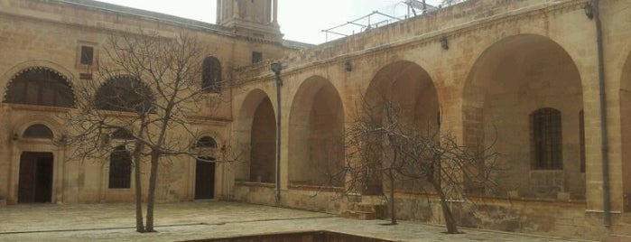 Hatuniye Medresesi is one of Mardin Gezi.